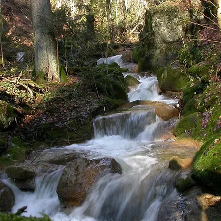 Fontana Garni Отель 3*