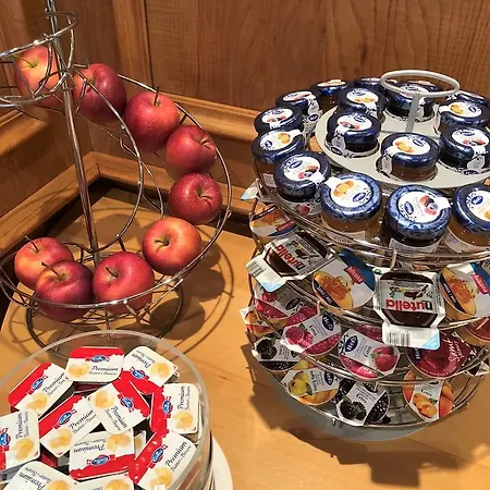 Hotel Fontana Garni 3*